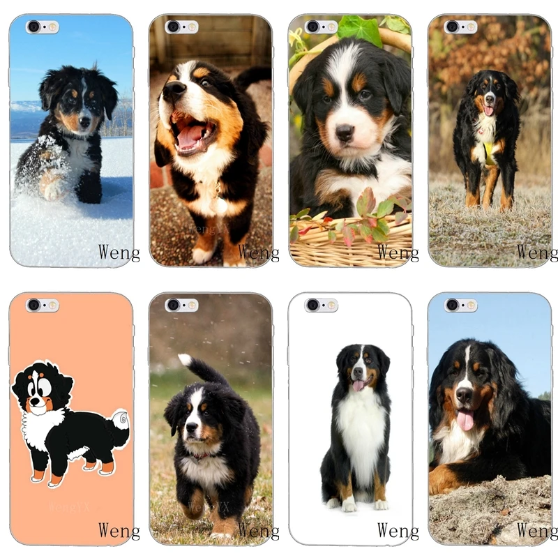 

lovely Bernese Mountain Dog puppy Slim silicone Soft phone case For Samsung Galaxy J1 J2 J3 J5 J7 A3 A5 A7 2015 2016 2017