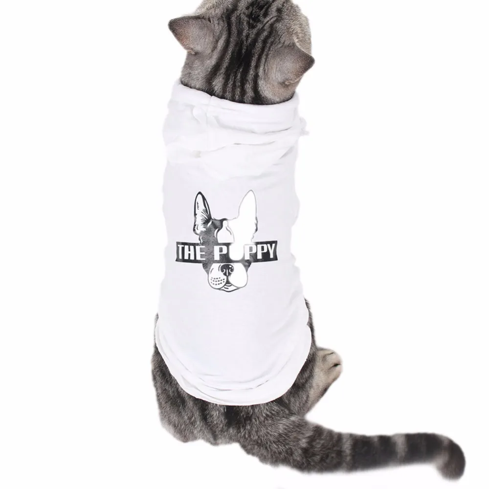 

PipiFren Small Cats Clothes Hoodie Kitten Coat Costume Yorkshire For Pets Dogs Clothes Clothing Puppy vetement pour chat gatto
