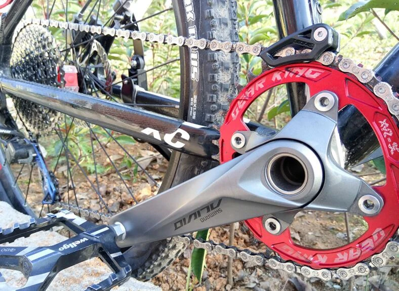 single speed chain guide
