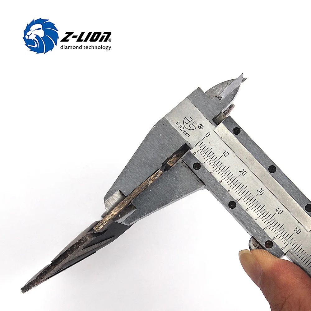 Z-LION 5