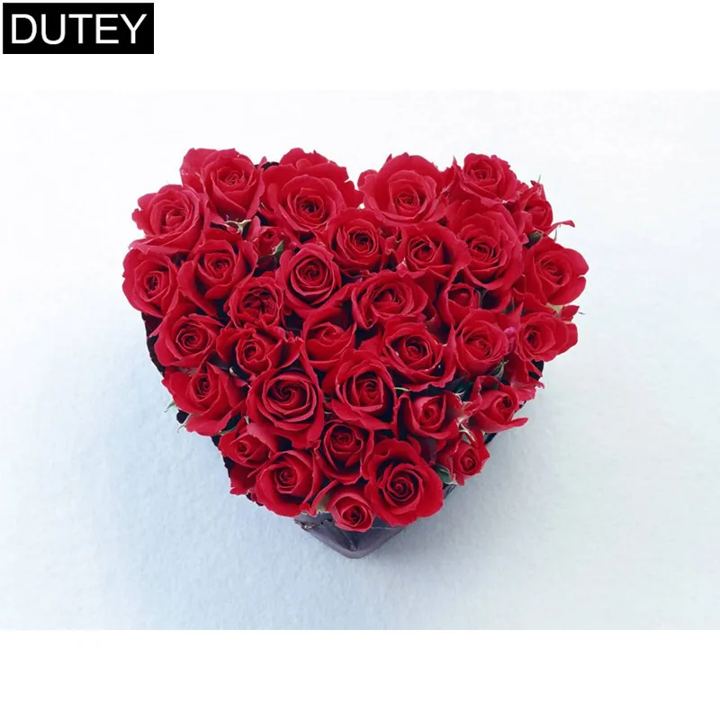 red rose (8) 