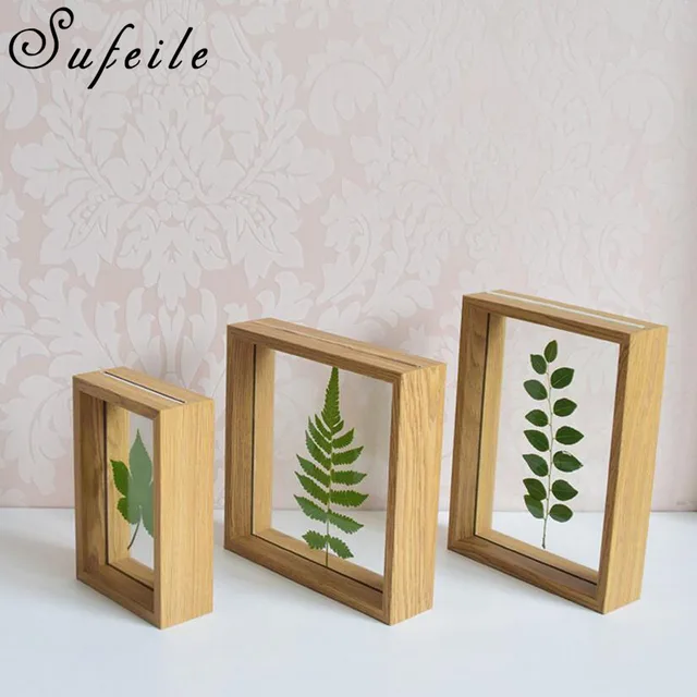 SUFEILE Simple plant specimens double sided glass frame 6