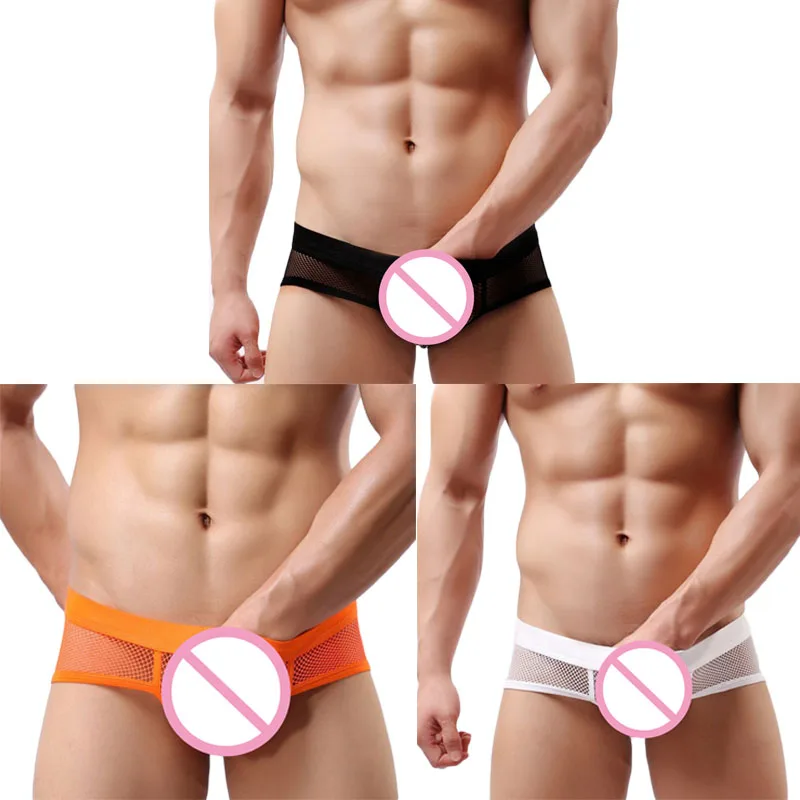 3PCS-1++