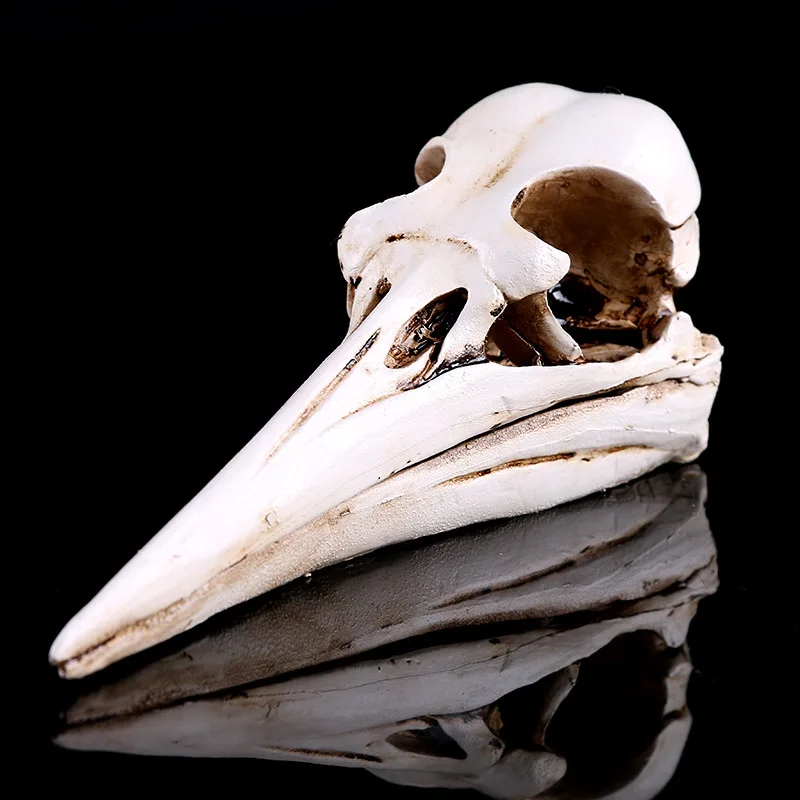 

Fantasy Life Fun Dinosaur Bird Animal Skull Study of Resin Skull Resin Crafts Home Decorations Ideas Ornaments Bar Decorations