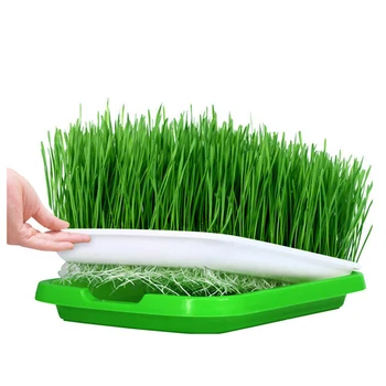 

Double-Layer Garden Plant Pot Gardening Flower Seedling Tray Plastic Pots For Plants Hydroponics Basket Nursery Tray Pots Case