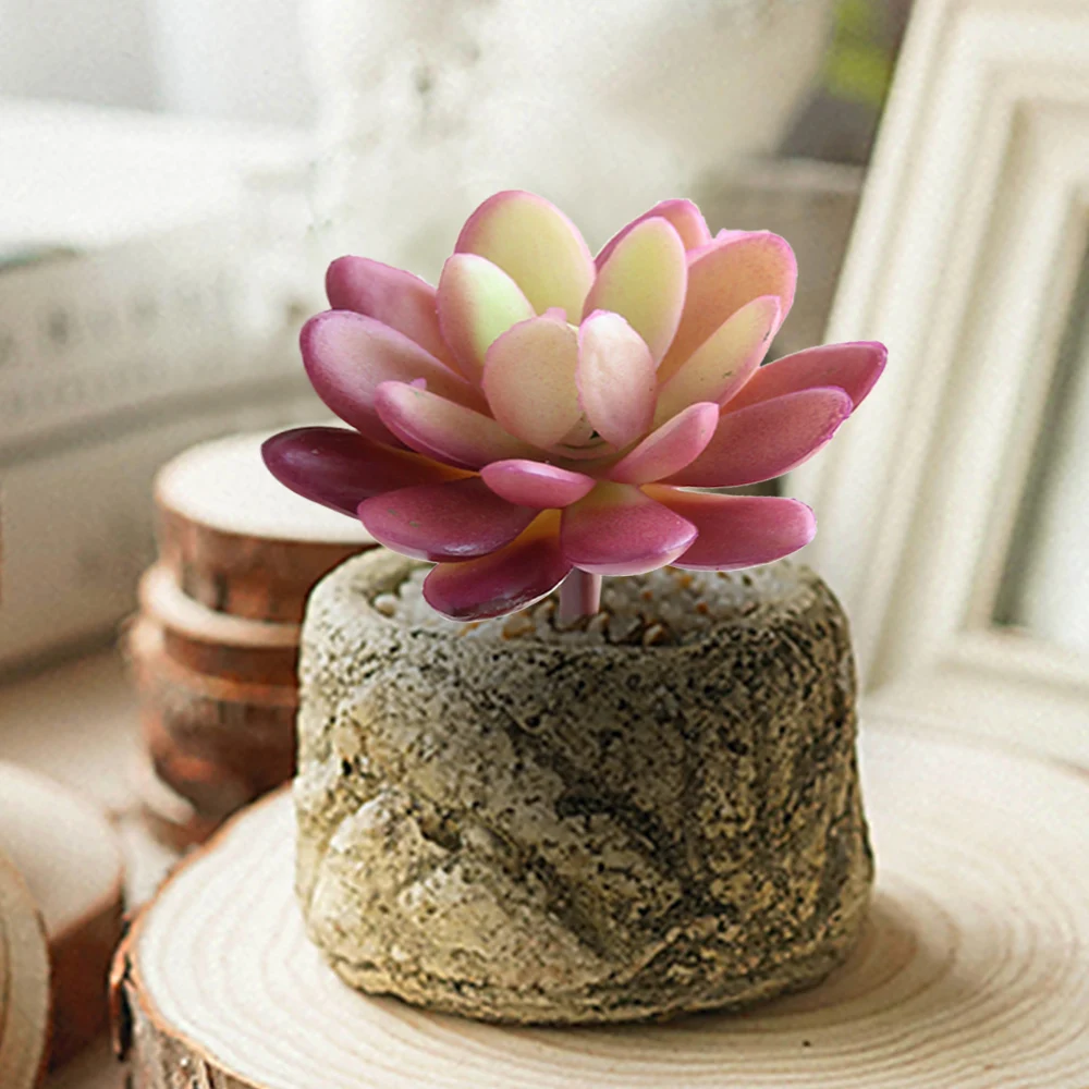 

Details about Artifical Plastic Succulent Plant Cactus Echeveria Flower Home Office Decor Gift