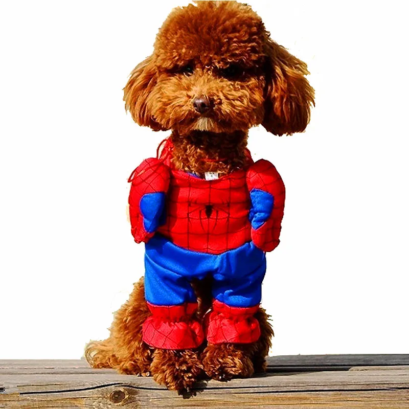 Spiderman Dog Collar Spiderman Dog Collar