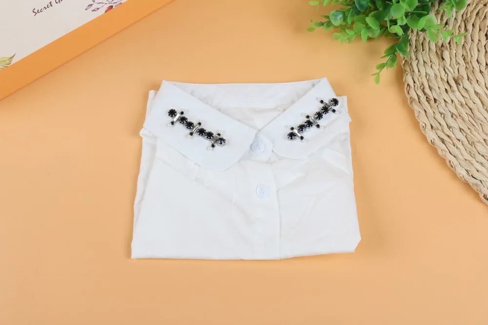 5337765833_1448871580