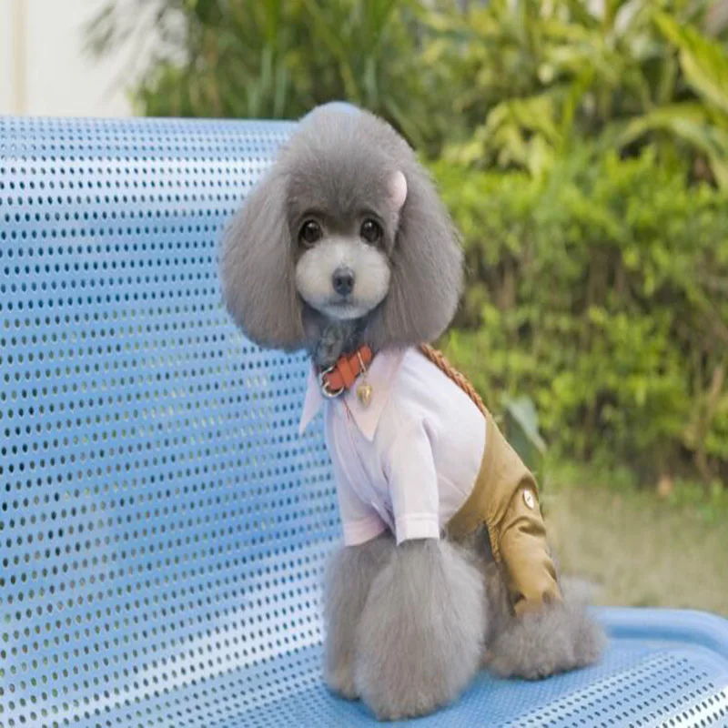 QQ20190416144506