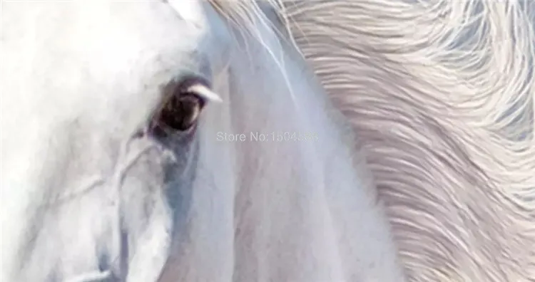 3D Stereo Horse Photo Wallpaper, mural personalizado,