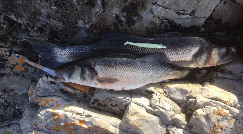 UTB8KDlBhT_IXKJkSalUq6yBzVXa3