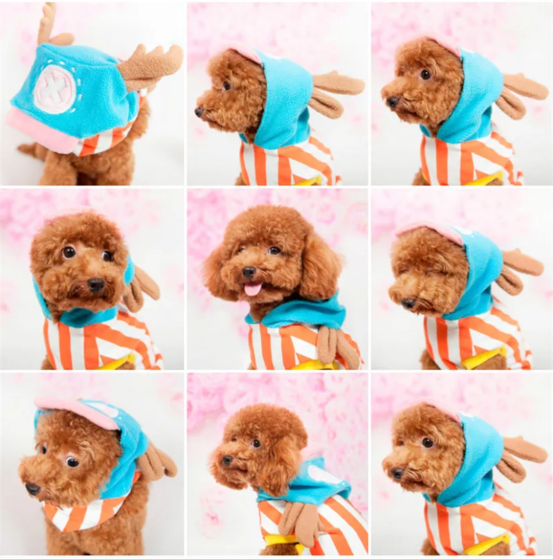  pet clothes 8