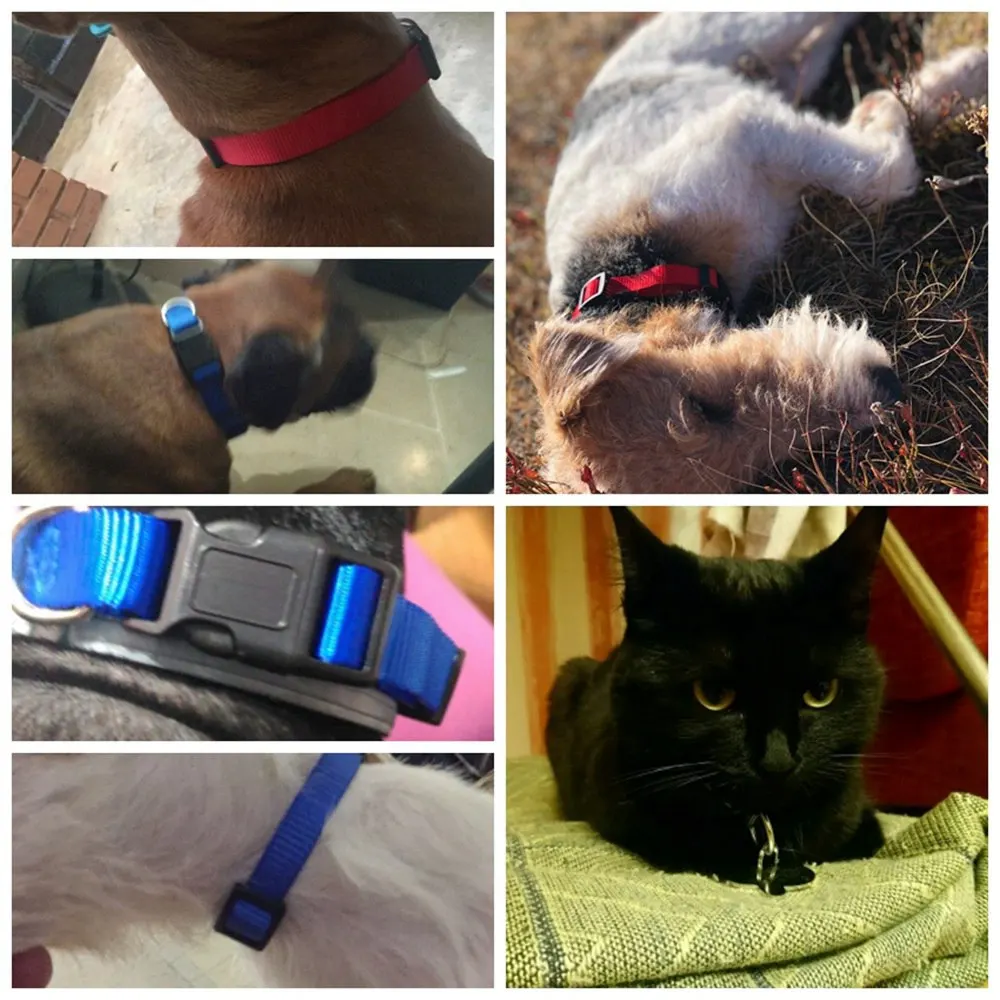R-glable-Colliers-Pour-Chiens-Pet-Collier-En-Nylon-De-Base-pour-Petit-Grand-Chat-Chiens (1)