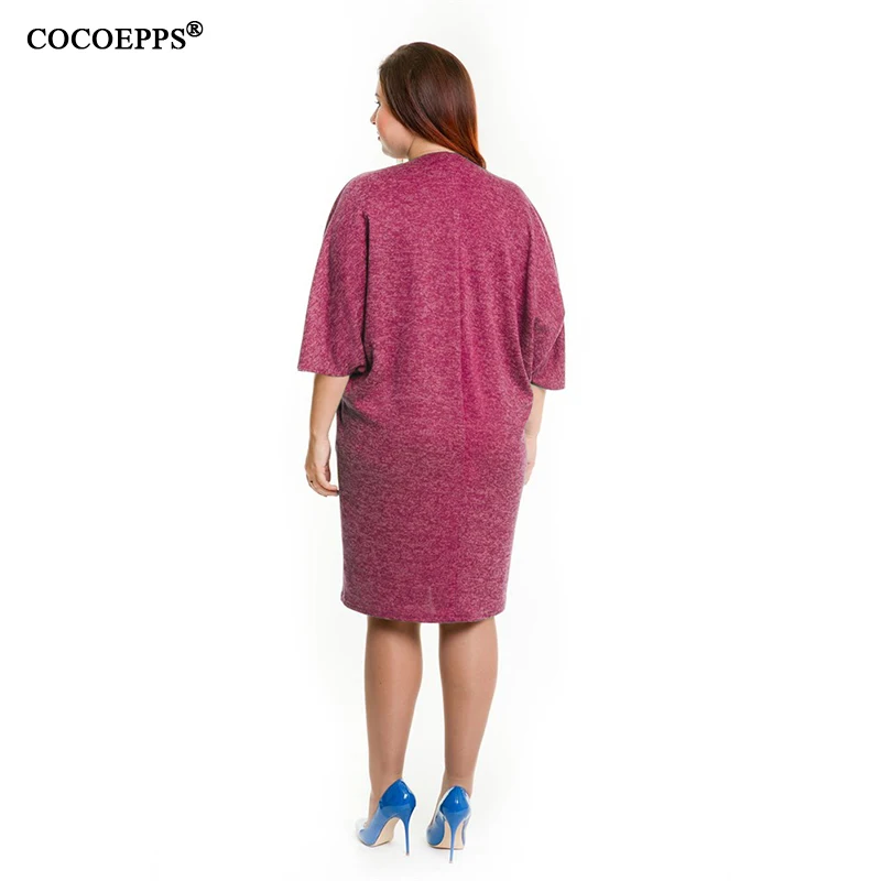 COCOEPPS11