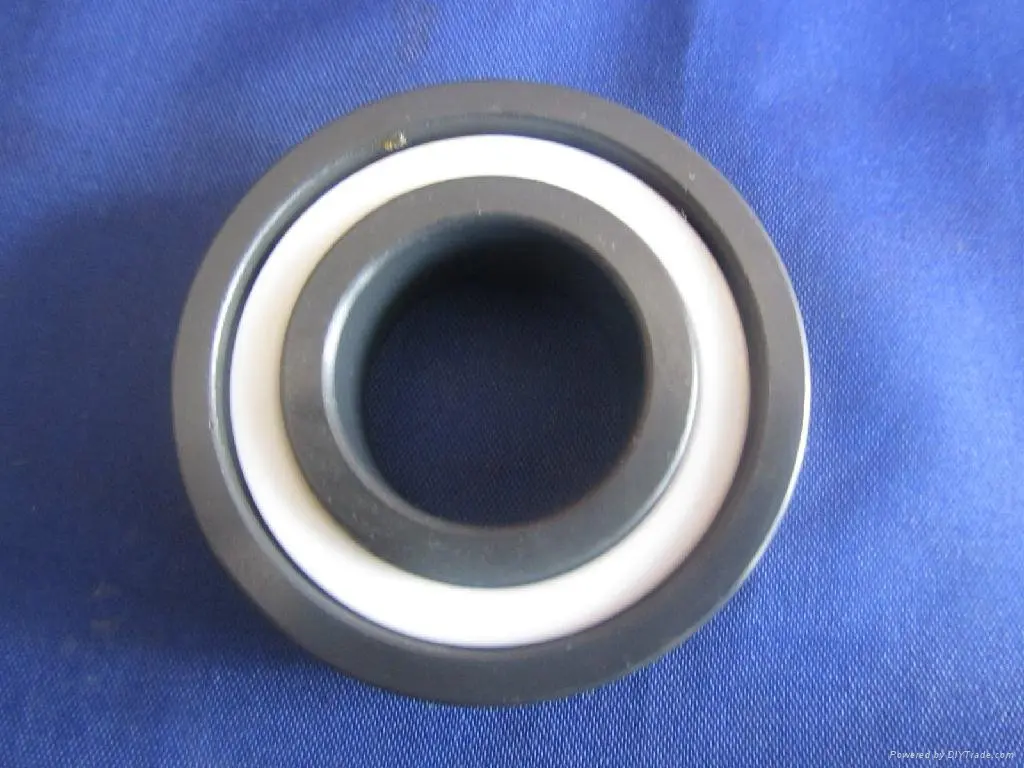 

Free Shipping 20x42x12mm Full Ceramic bearing 6004 ceramic  SI3N4 Ball bearing