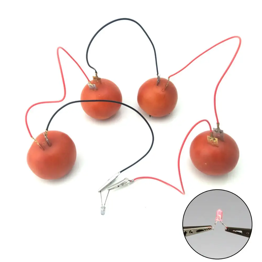  Fruit Battery Science Experiment Kit with Electronic Clock and RGB LED for DIY Home Teaching Toy  S - 33028145973