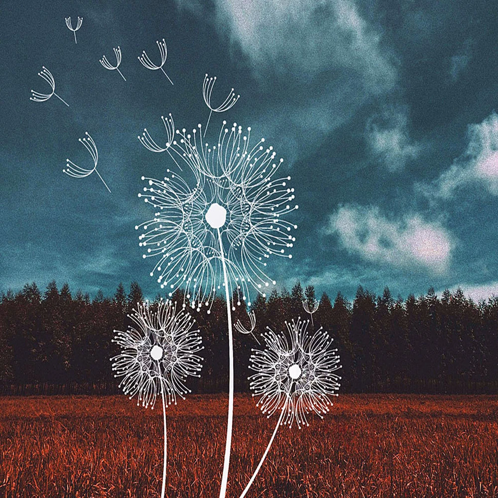 

Full Diamond Painting 5D DIY Embroidery Square Drill Dandelion Home Decor Arts Crafts&Sewing Needlework Cross Stitch Crpsen