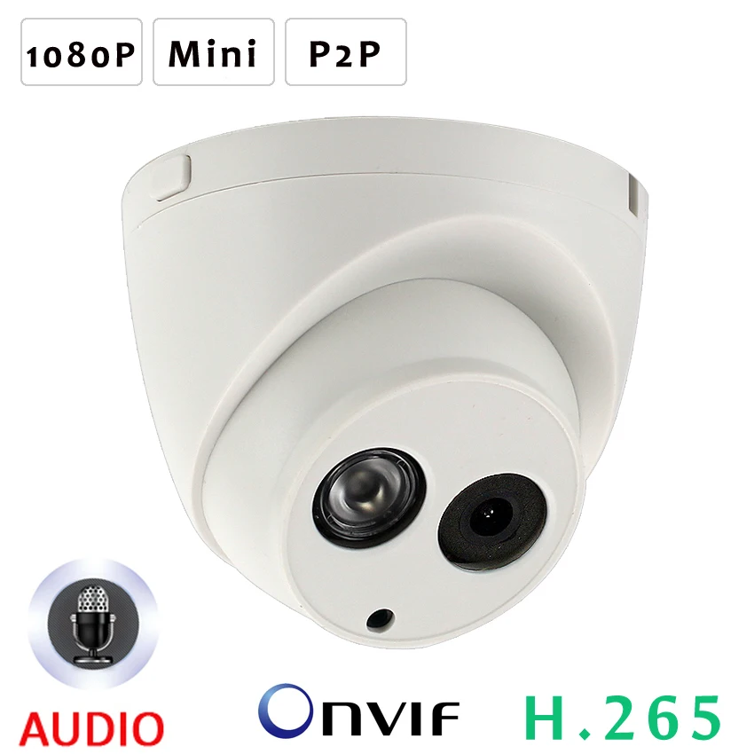 H.264 1080p Network Microphone Ip Camera Onivf 2mp Indoor Day/night P2p