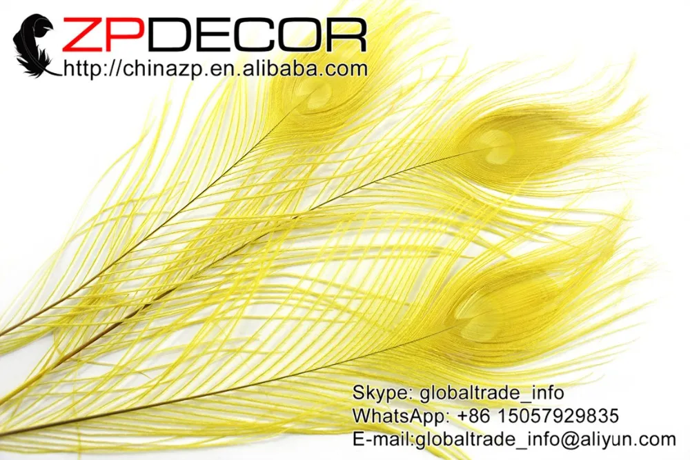 7 Yellow Peacock Tail Feather (164)