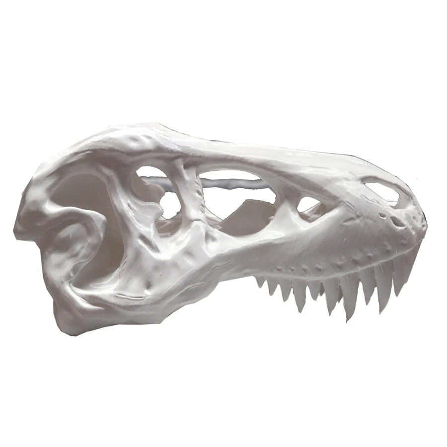 

dinosaur head model of SLA SLS 3D print service with low price