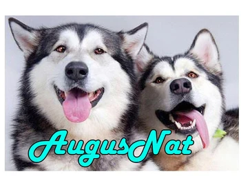 

dogs diamond painting full drill husky daimond embroidery picture puppy diamant mosaic stickers animals diamand art new arrivals