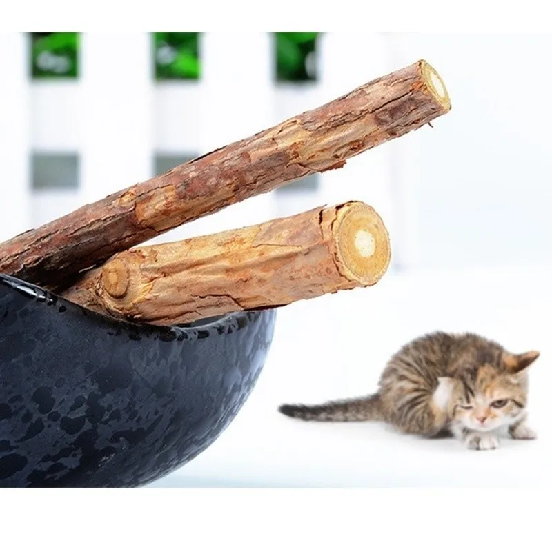2 pcs Cat Training Tool Pure Natural Catnip Molar Cat Chew Stick Wood