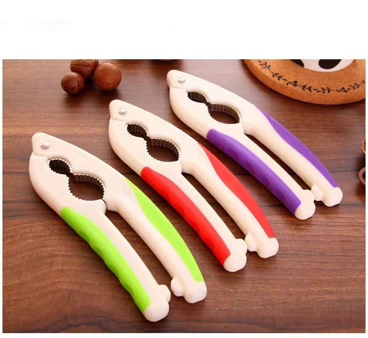 3503114242_1737527223