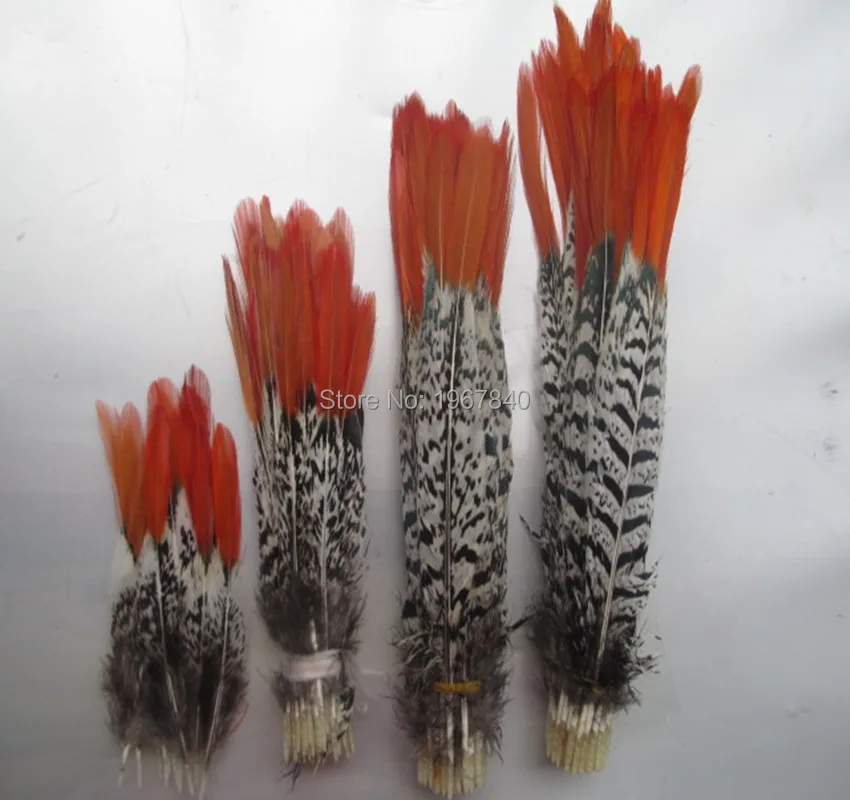 

Natural Golden pheasant Tail Feather 100pcs/lot 5-30 cm Long Red tip Lady Amherst Pheasant plume jewelry clothing free shipping