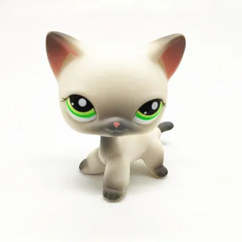 

New Lps Pet Toys Shop Free Shipping Real Short Hair Cat Powder Cat 32 Styles Black White Harmless Exquisite Boy Girl Gift Best