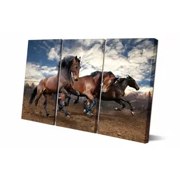 

Drop shipping 3 Panel printed painting Horse Painting Canvas Wall Art Picture Home Decoration Living Room LS224
