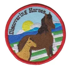 Discoyering лошадей вышивка патчи Одежда, выполненная на заказ этикеток рубашка теги вышивка контуров оверлоком и утюгом на подложке клиентские и MOQ50pcs