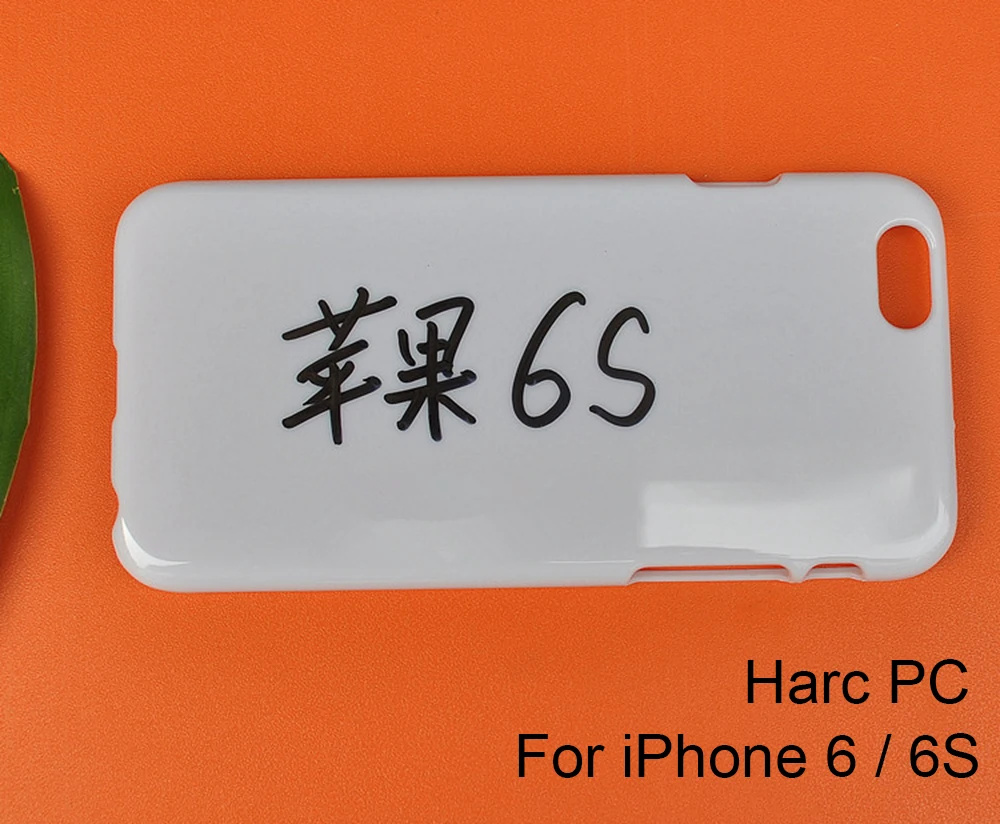 3876483771_235944351