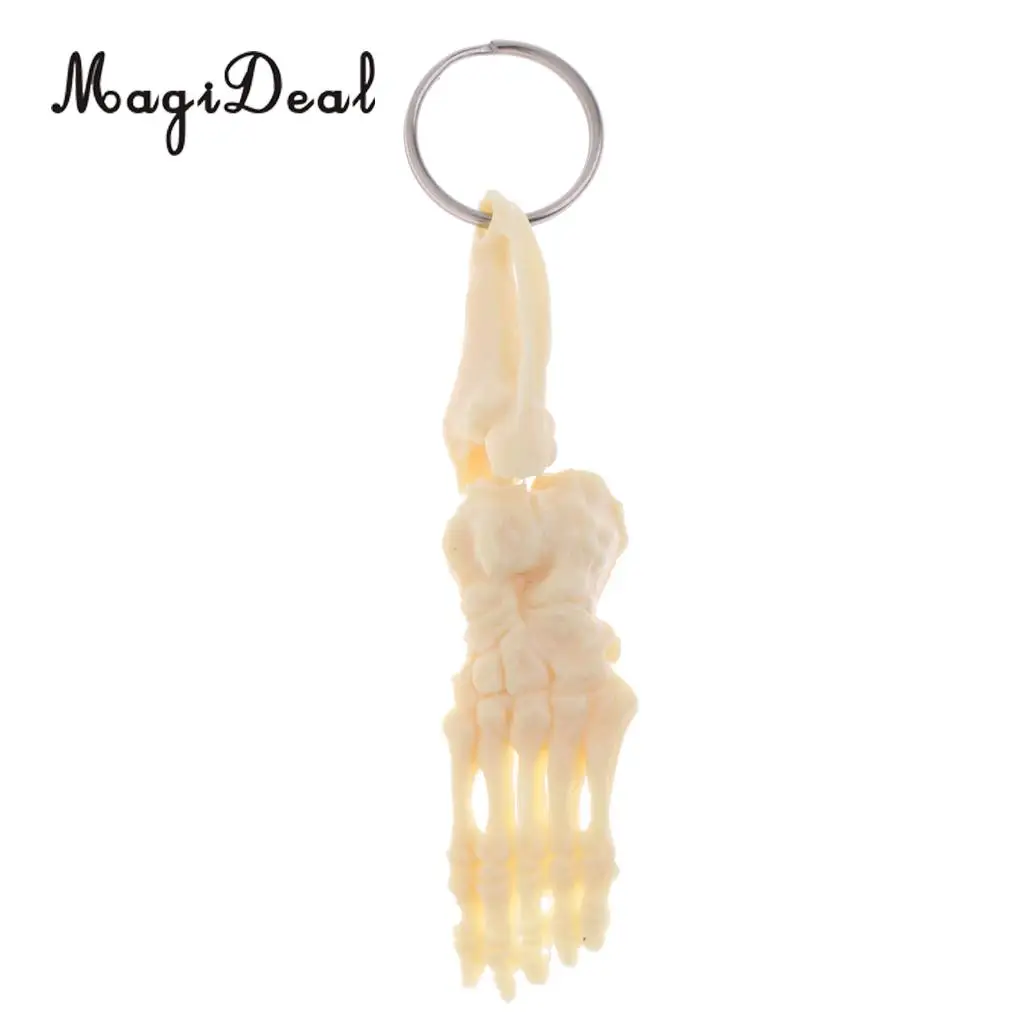 MagiDeal Human-skeleton Foot and Ankle Joint Model Key Chain Key Ring Children Kids Novelty Gift 12cm