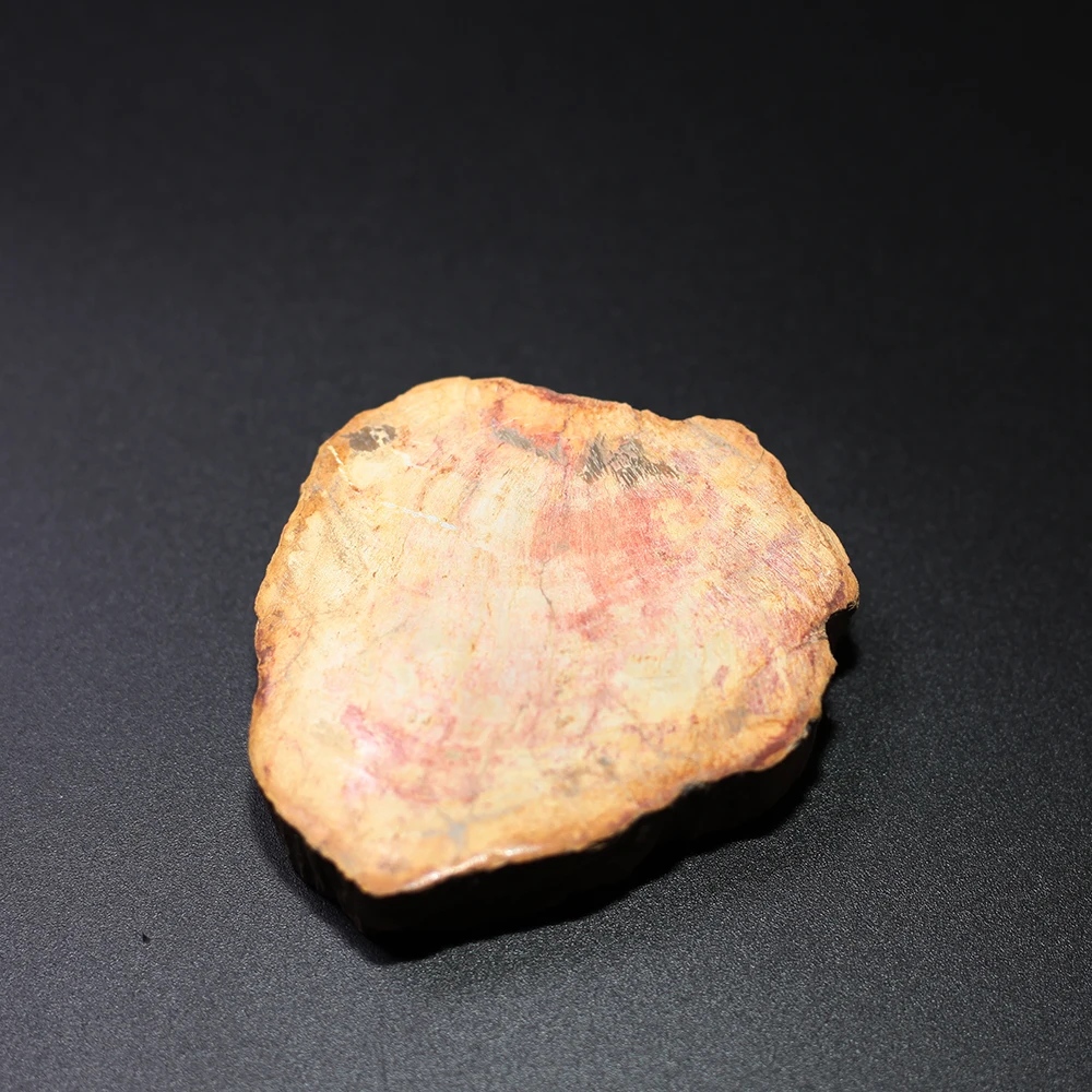 

Wood fossil Crystal Specimens NATURAL Stones and Minerals Rock