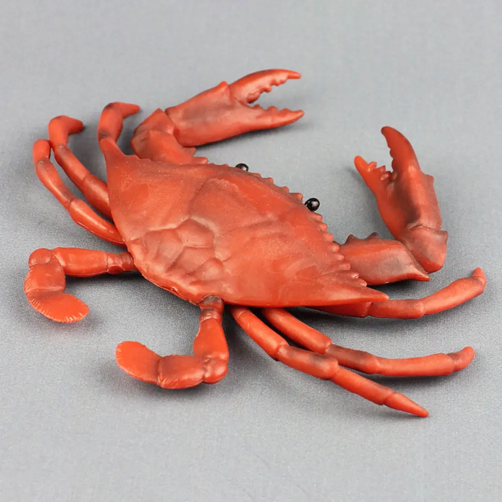 

Simulation Crab Solid Sea Animal Model Educational Decoration Learning Gifts Child Figure Toy Home Plastic Realistic Collection