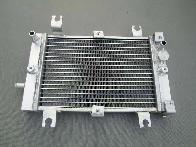 Aluminum Radiator Can-Am CAN AM DS250 DS 250 2006-2012 2007 2008 2009 2010 2011