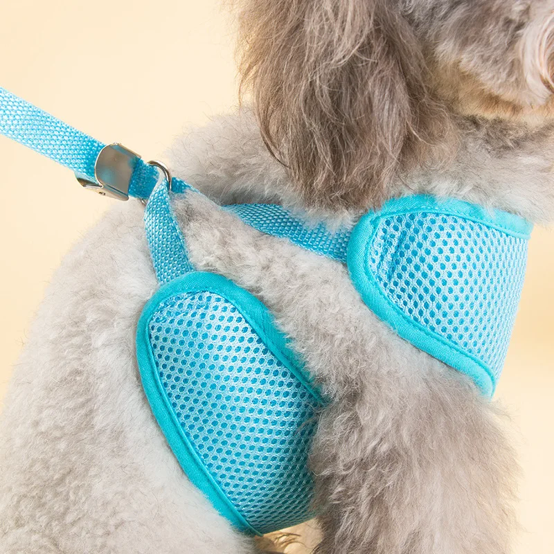 Fashion Dog Harness and Leash Set Teddy Dog Harness Vest Pet Walking Harnesses Leash Set Puppy Cartoon Collar for Small Dogs Cat
