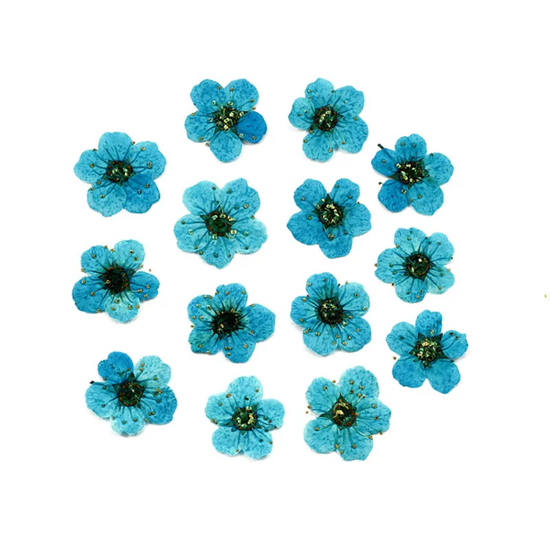 12pcs Pressed Natural Dried Flowers Red Love-in-a-mist DIY Resin Ornaments
