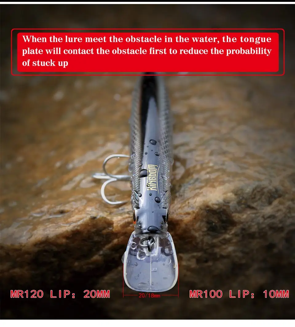 Kingdom fishing lure minnow floating 100mm 20.7g,120mm 30g fishing wobblers lifelike fishing lure Artificial Bait model 5501 (4)