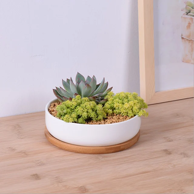 Modern Simple White Ceramic Shallow Flower Pot With Bamboo Tray Modern Simple White Ceramic Shallow Flower Pot With Bamboo Tray Z Succulent Pots Desktop Small