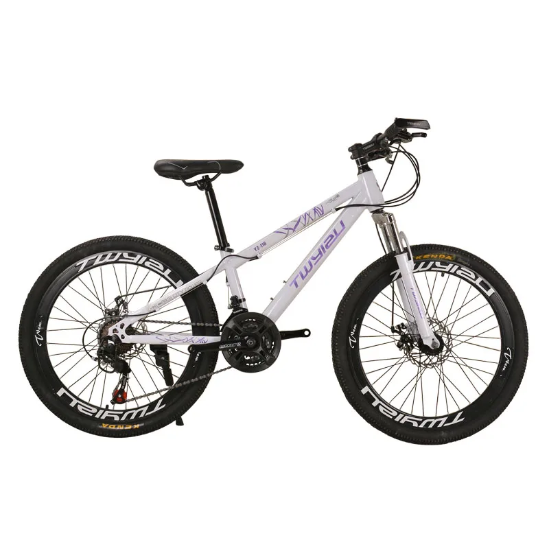 Discount Mountain bike 24-inch/26-inch steel shock absorption Aluminum alloy mountain bikes Variable speed 10