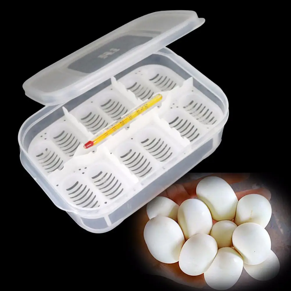 AsyPets 12 Holes Reptile Egg Incubation Tray with Thermometer