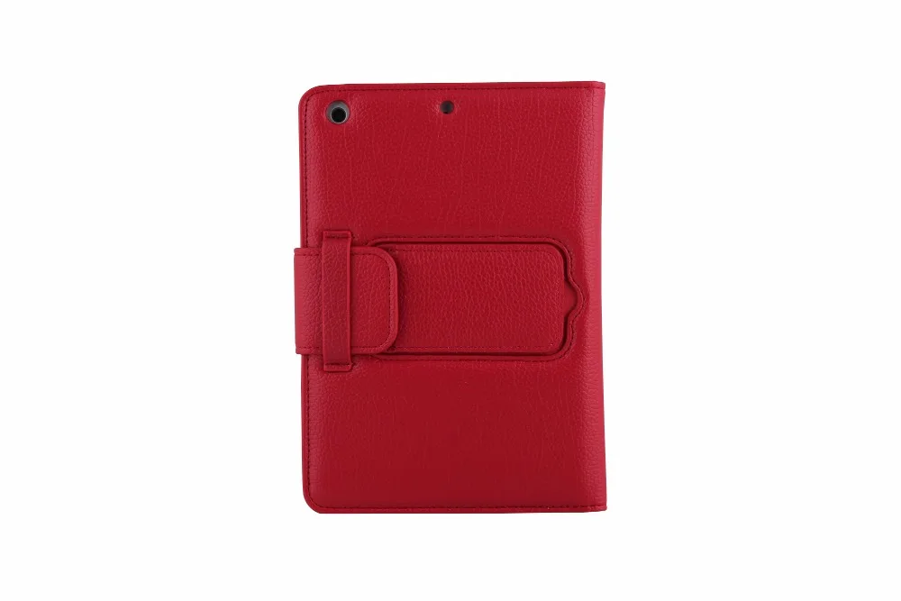 ipadmini 1 2 3(SPM01) (10)