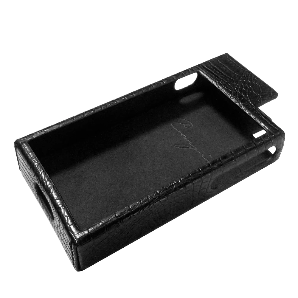case (3)
