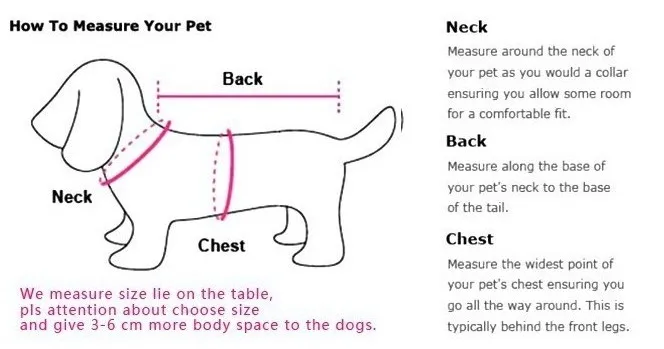 how to measure dog