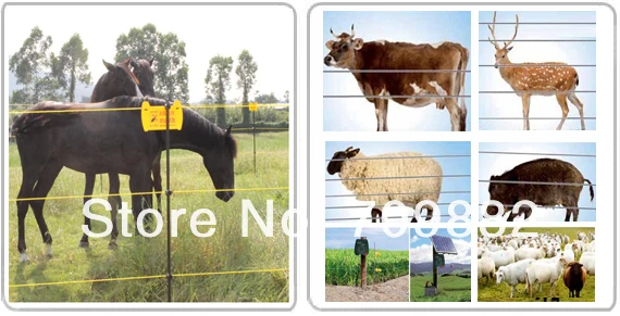 animal fence.jpg
