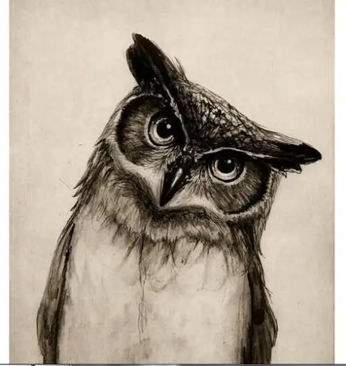 Филин и сова. Полярная сова меланист. Сова филин сыч отличия. Логотип r. Совс.