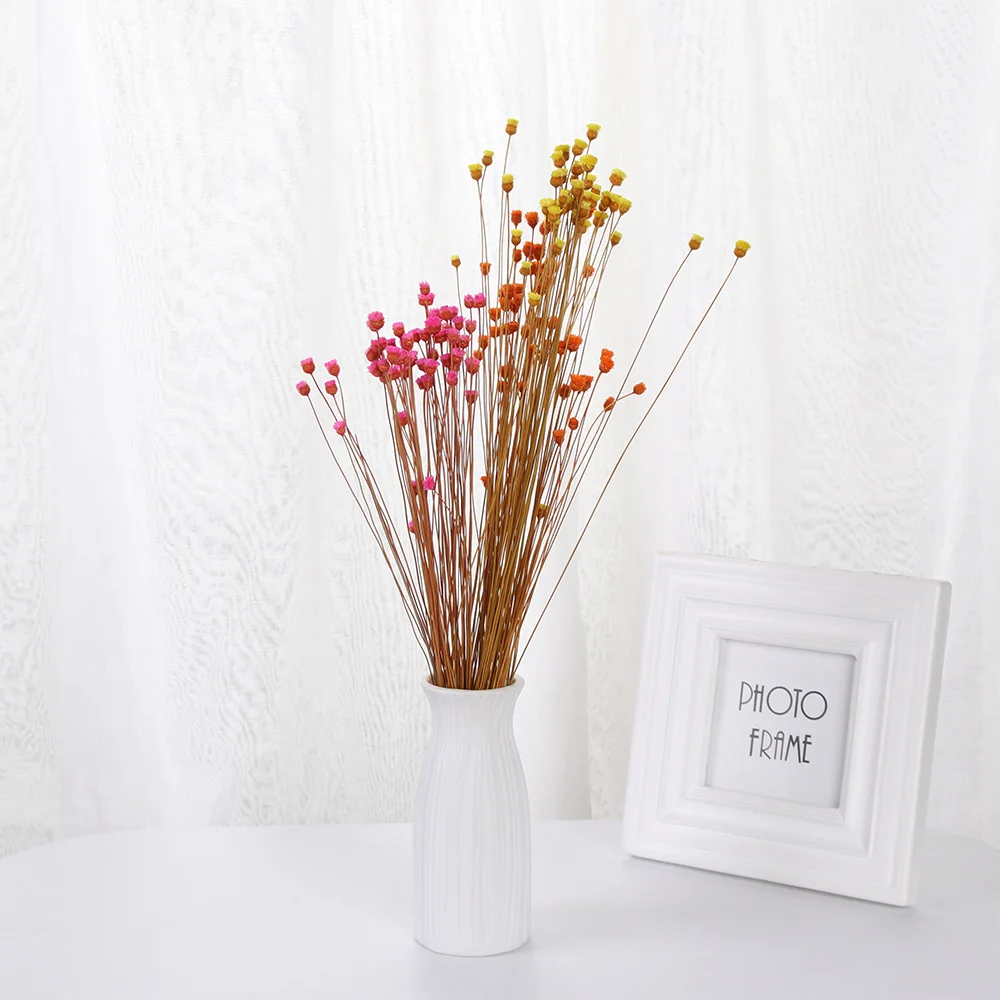 

50pcs Kawaii Happy Flower Natural Small Dried Flower Pressed Dried Flowers Mini Decorative Arrangement Photo Backdrop Decoration