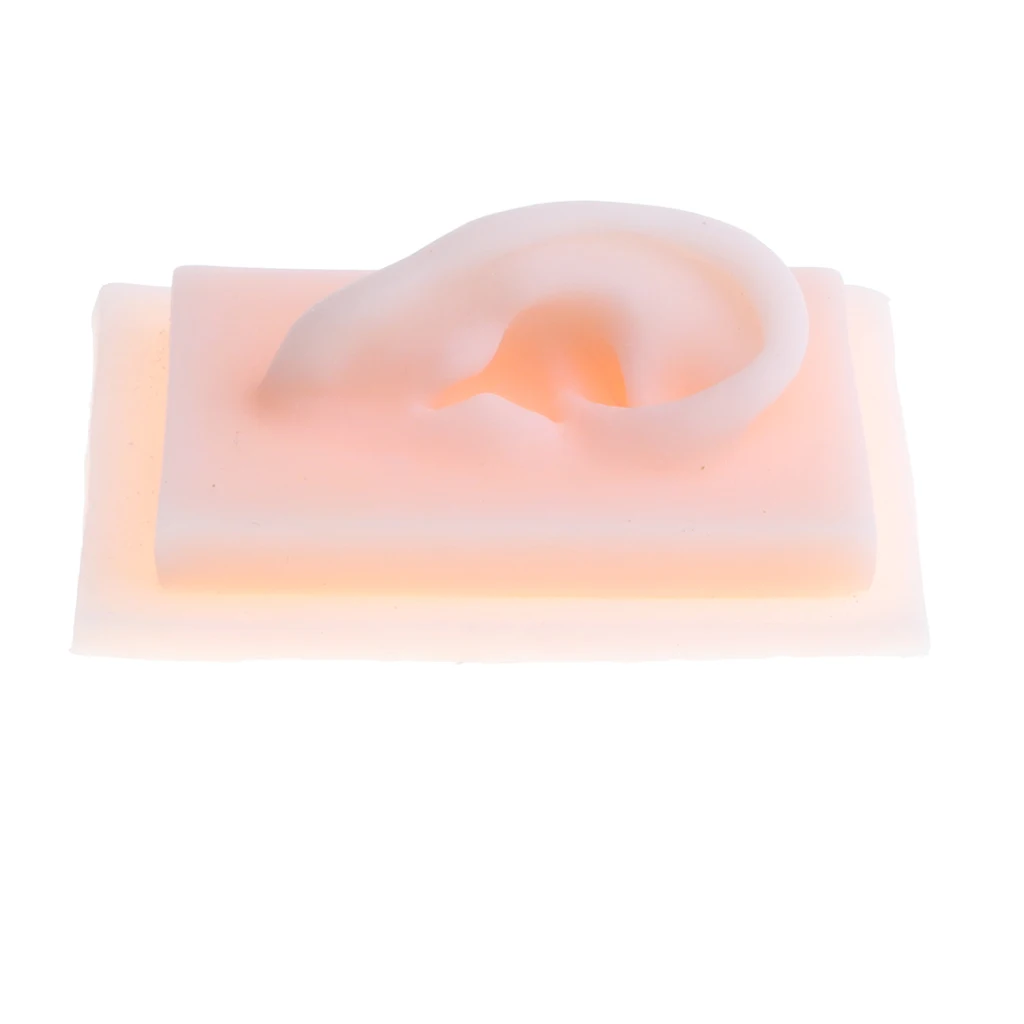 1:1 Lifesize Silicone Human Left & Right Acupuncture Ear Model School Medical Study Kit