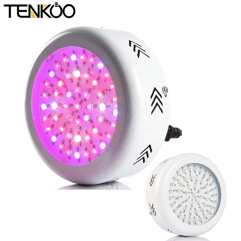Spectrum king led coupon code